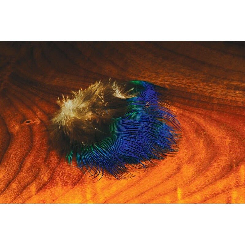 Blue Peacock Feathers - Feathers & Marabou - Fly Fish Food
