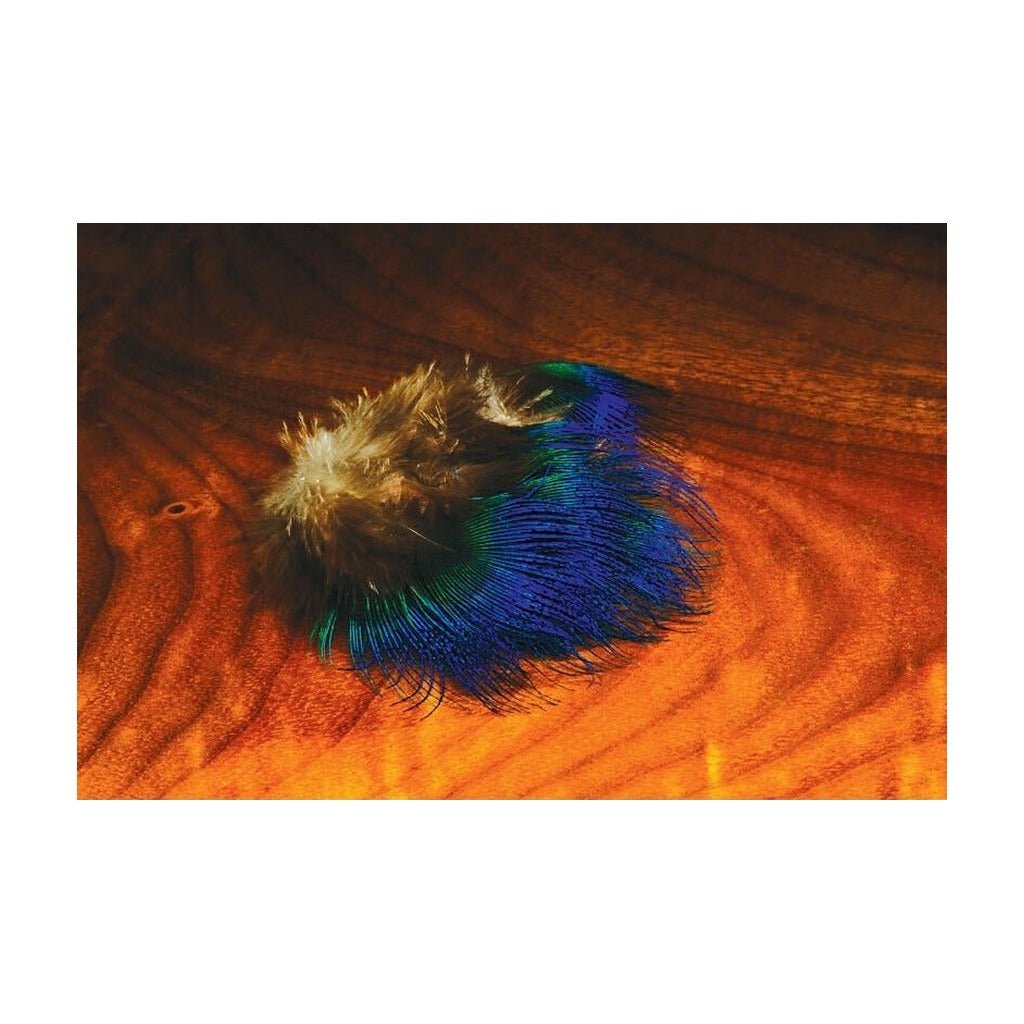 Blue Peacock Feathers - Feathers & Marabou - Fly Fish Food
