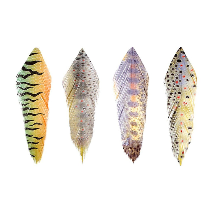 MFC - Galloup's Fish Feathers - Feathers & Marabou - Fly Fish Food