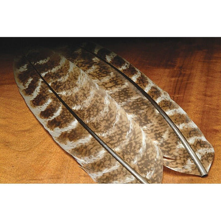 Ozark Oak Mottled Turkey Quills - Feathers & Marabou - Fly Fish Food