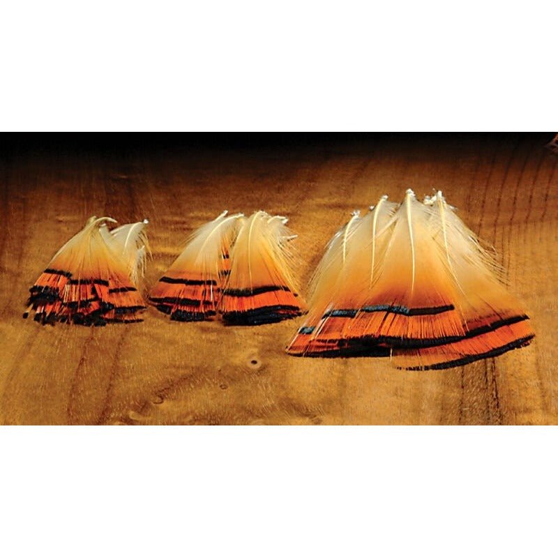 Golden Pheasant Med Tippets - Feathers & Marabou - Fly Fish Food