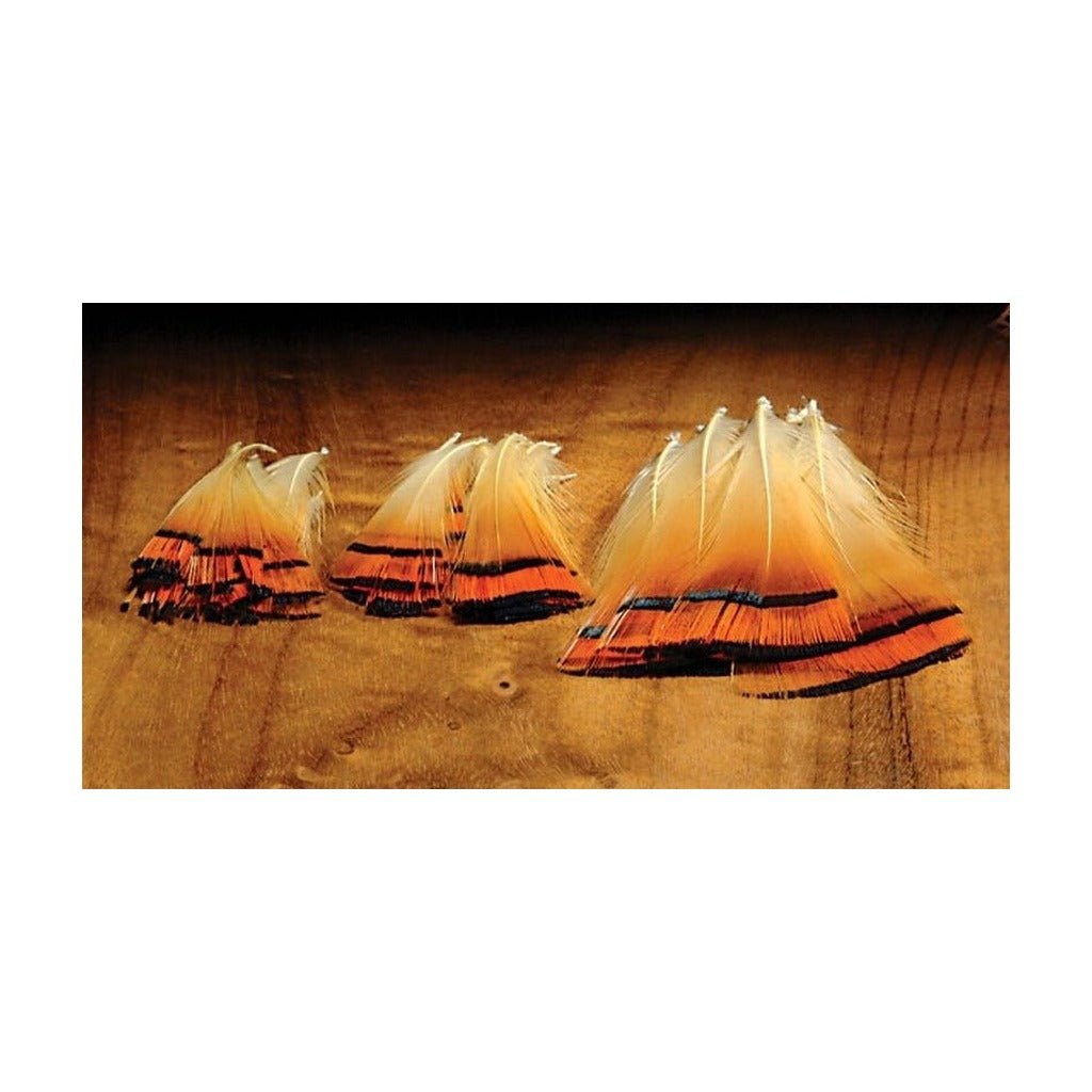 Golden Pheasant Med Tippets - Feathers & Marabou - Fly Fish Food