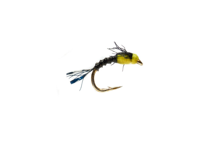 Boroff's Hot Belly Baetis - Black - Flies - Fly Fish Food
