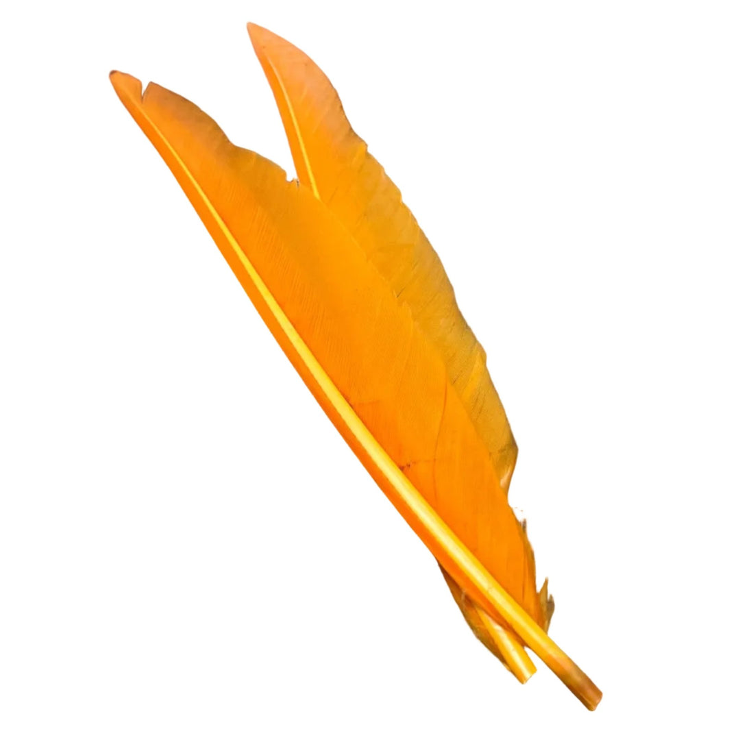 Duck Quills - 2 Pair - Feathers & Marabou - Fly Fish Food