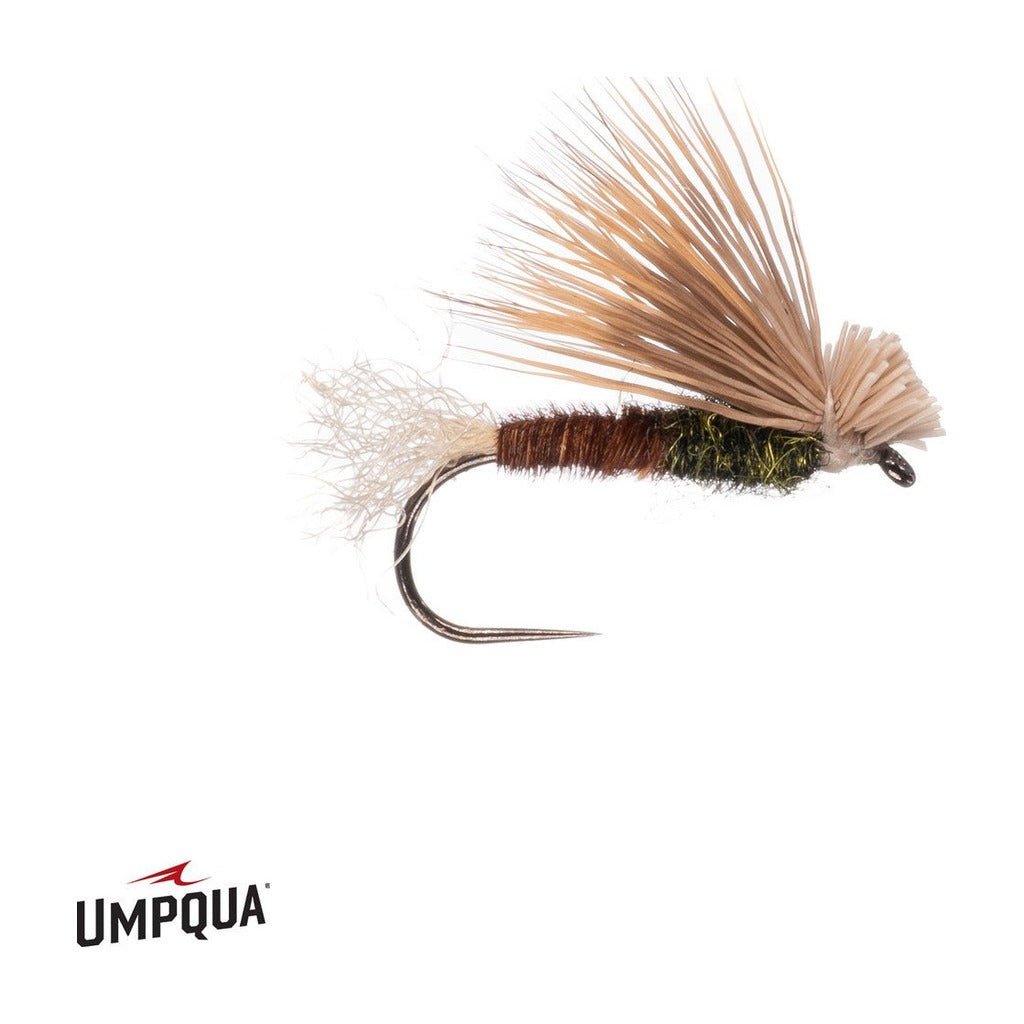 PT X Caddis - Olive - Flies - Fly Fish Food