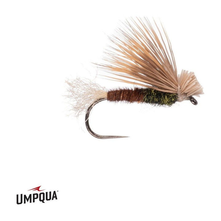 PT X Caddis - Olive - Flies - Fly Fish Food