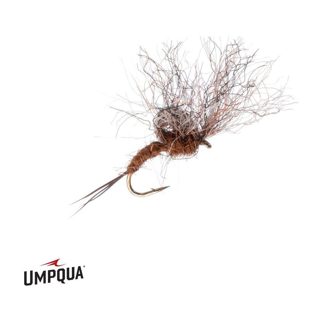 Timmy Emerger - Brown - Flies - Fly Fish Food