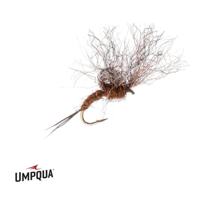 Timmy Emerger - Brown - Flies - Fly Fish Food