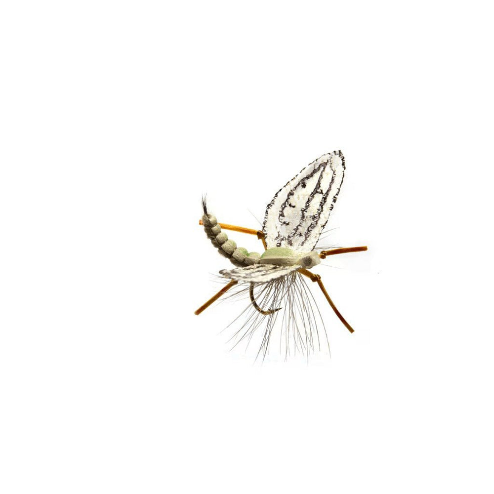 Spotts' Western Green Drake - Flies - Fly Fish Food