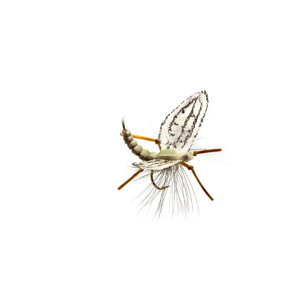 Spotts' Western Green Drake - Flies - Fly Fish Food