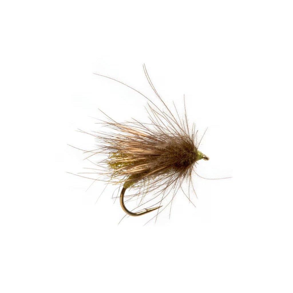 Dusty Old Bat Caddis Olive Barbless - Flies - Fly Fish Food