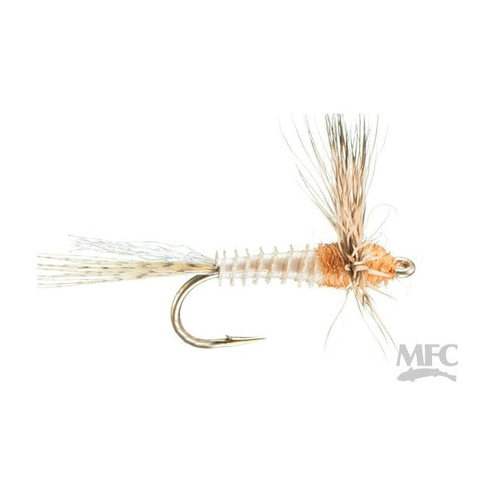 Biot Sparkle Dun - Cream - Flies - Fly Fish Food