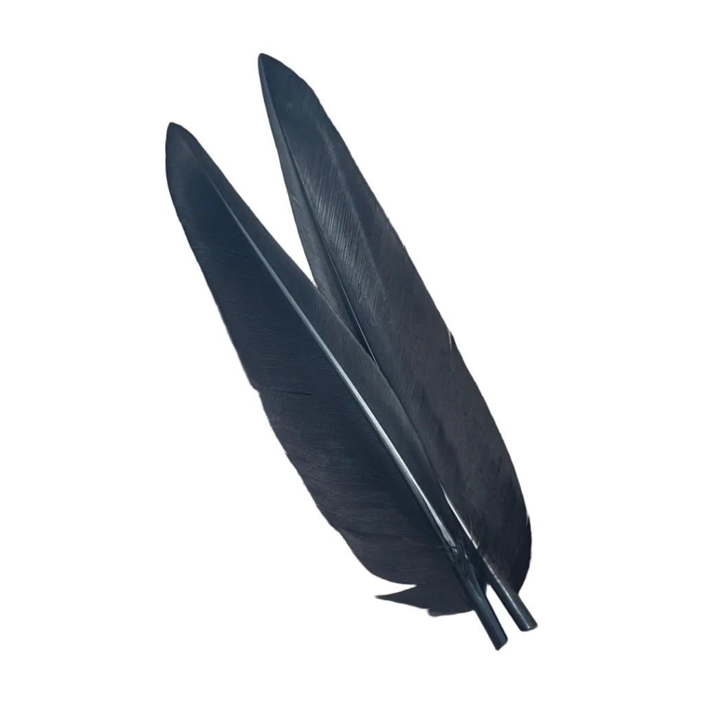 Duck Quills - 2 Pair - Feathers & Marabou - Fly Fish Food
