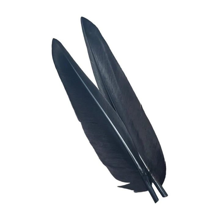 Duck Quills - 2 Pair - Feathers & Marabou - Fly Fish Food