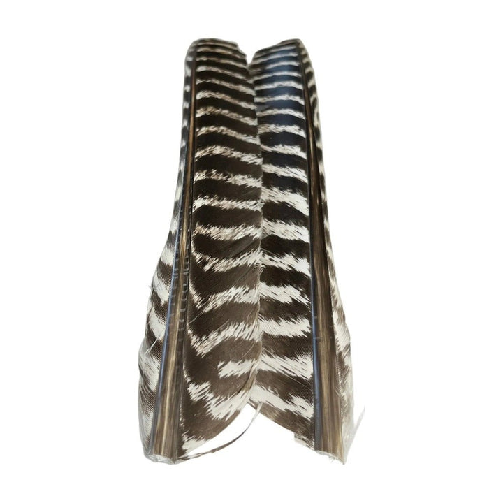 Barred Turkey Biot Quill Pair - Feathers & Marabou - Fly Fish Food