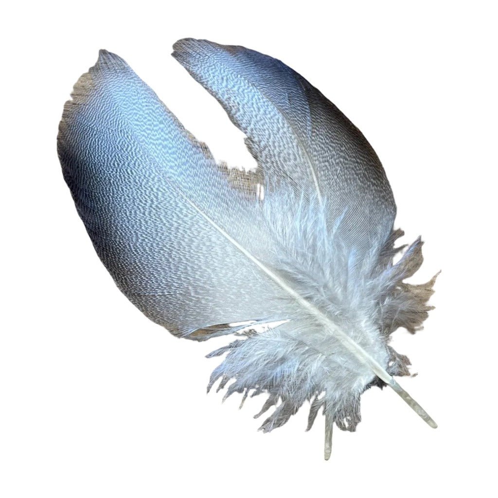 Select Bronze Mallard 3 Pairs - Feathers & Marabou - Fly Fish Food