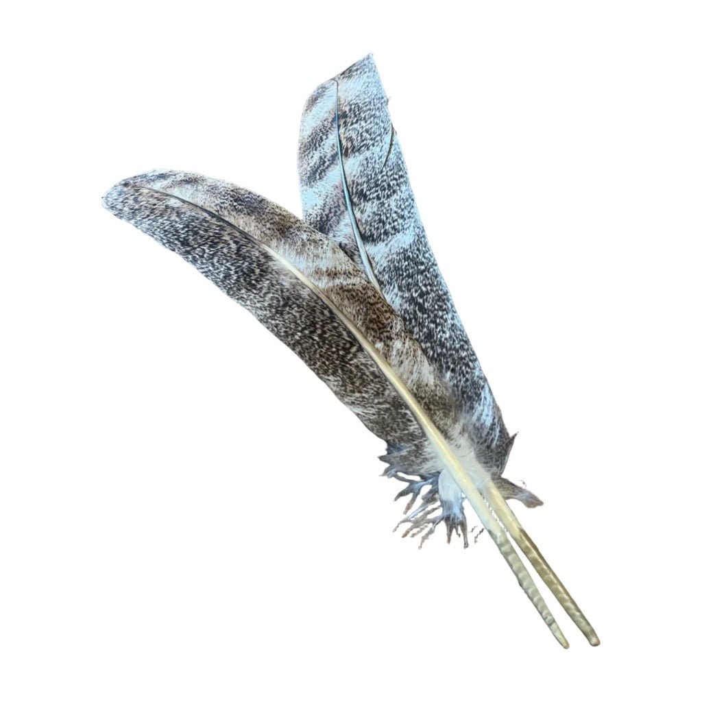 Mottled Ozark Secondary Pair - Feathers & Marabou - Fly Fish Food