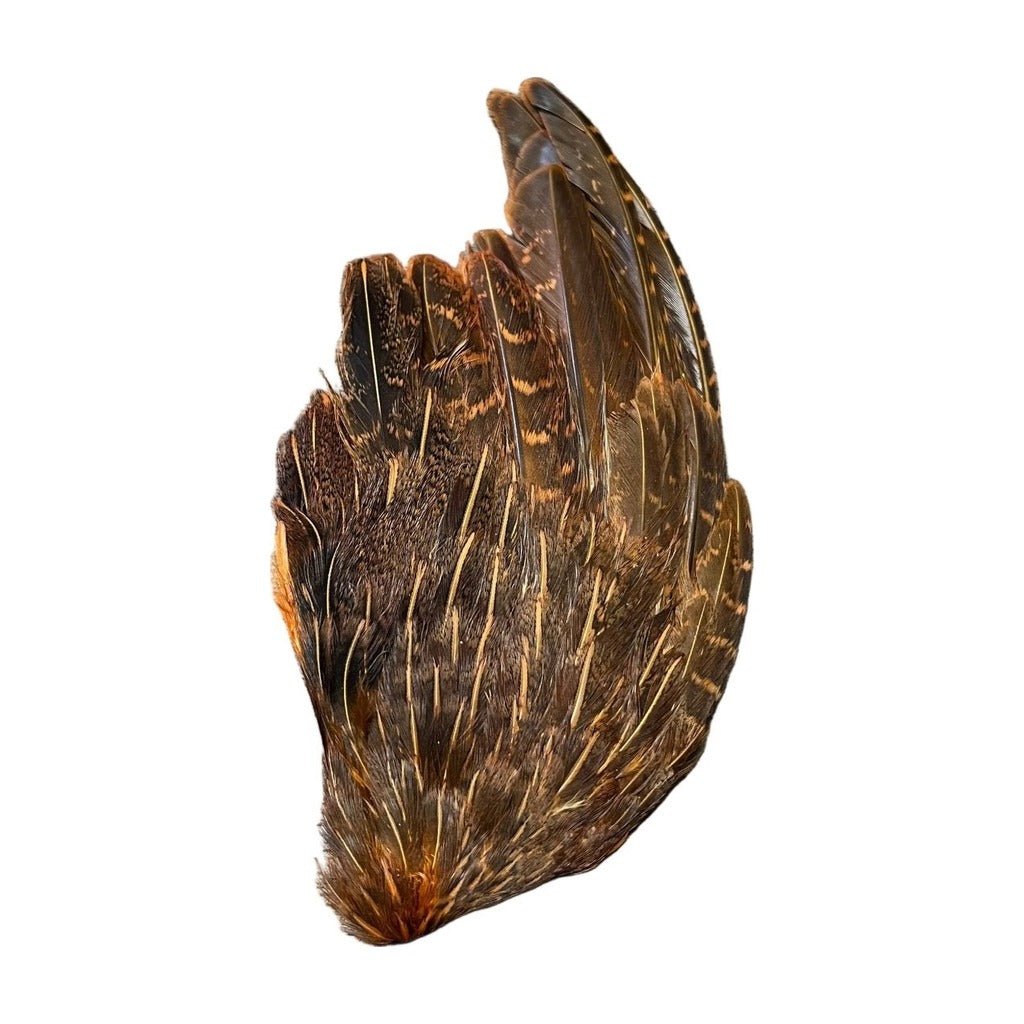 Partridge Wings Dyed - Feathers & Marabou - Fly Fish Food
