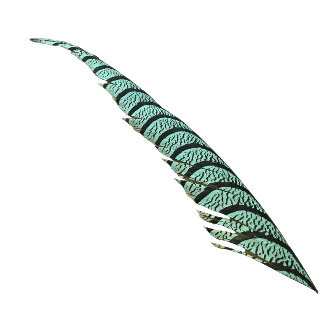 Lady Amherst Center Tail - Halfs - Feathers & Marabou - Fly Fish Food