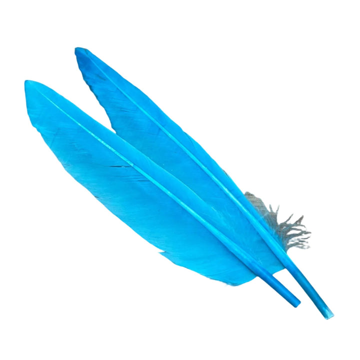 Duck Quills - 2 Pair - Feathers & Marabou - Fly Fish Food