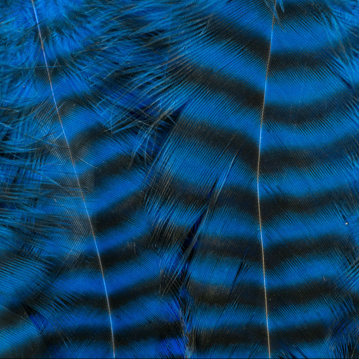 Metz - Hackle Predator Pack