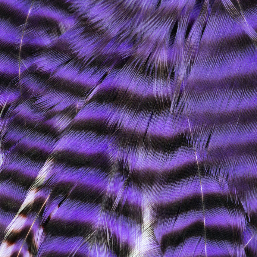 Metz - Hackle Predator Pack