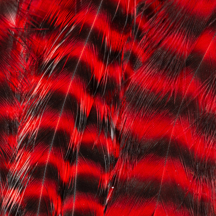 Metz - Hackle Predator Pack