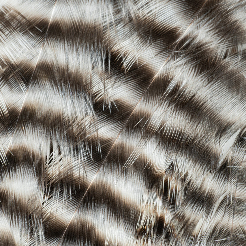 Metz - Hackle Predator Pack