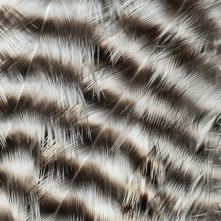 Metz - Hackle Predator Pack