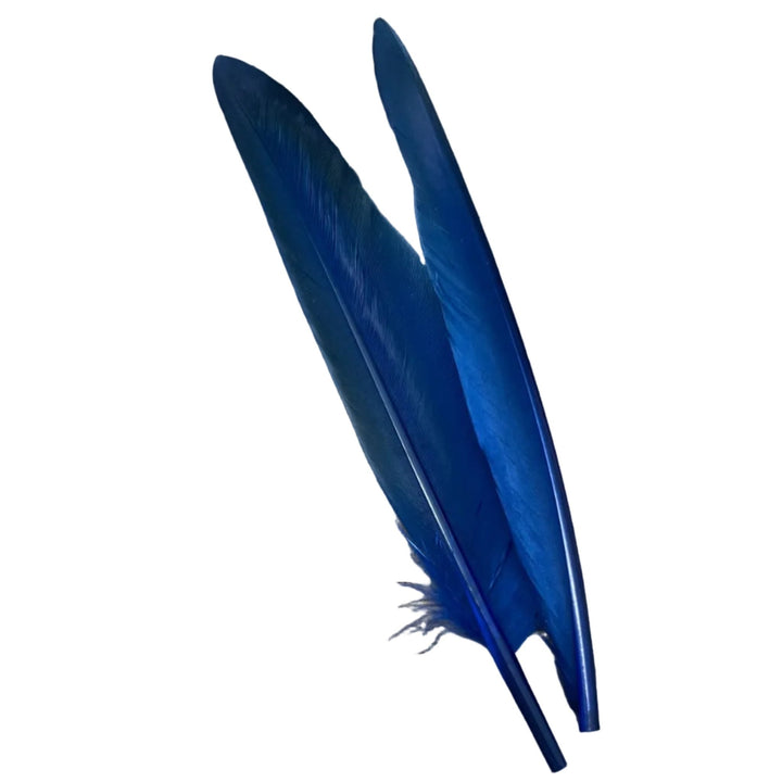 Duck Quills - 2 Pair - Feathers & Marabou - Fly Fish Food