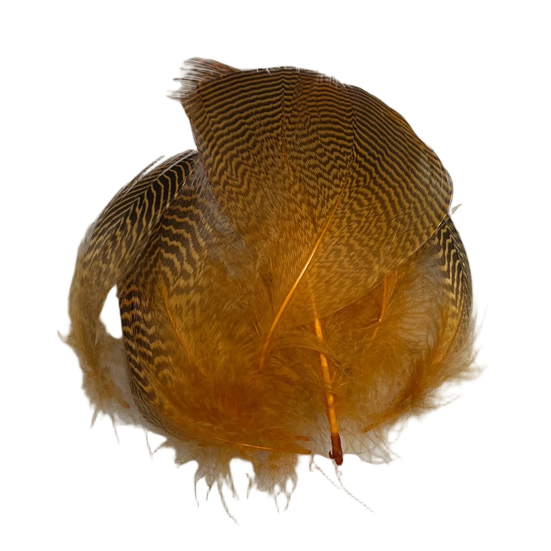 Teal Flank