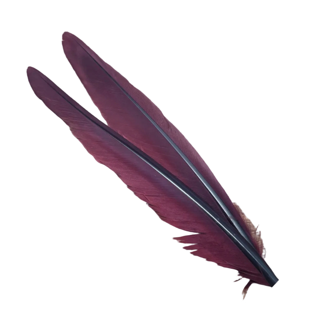 Duck Quills - 2 Pair - Feathers & Marabou - Fly Fish Food