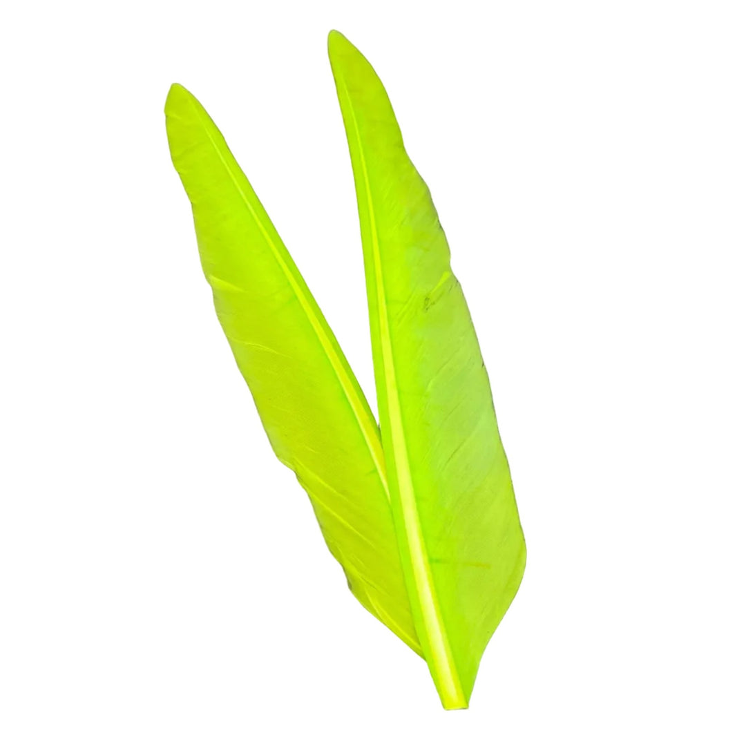 Duck Quills - 2 Pair - Feathers & Marabou - Fly Fish Food