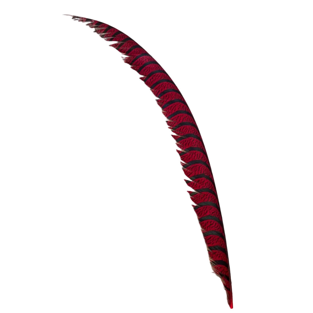 Lady Amherst Center Tail Feather - Feathers & Marabou - Fly Fish Food