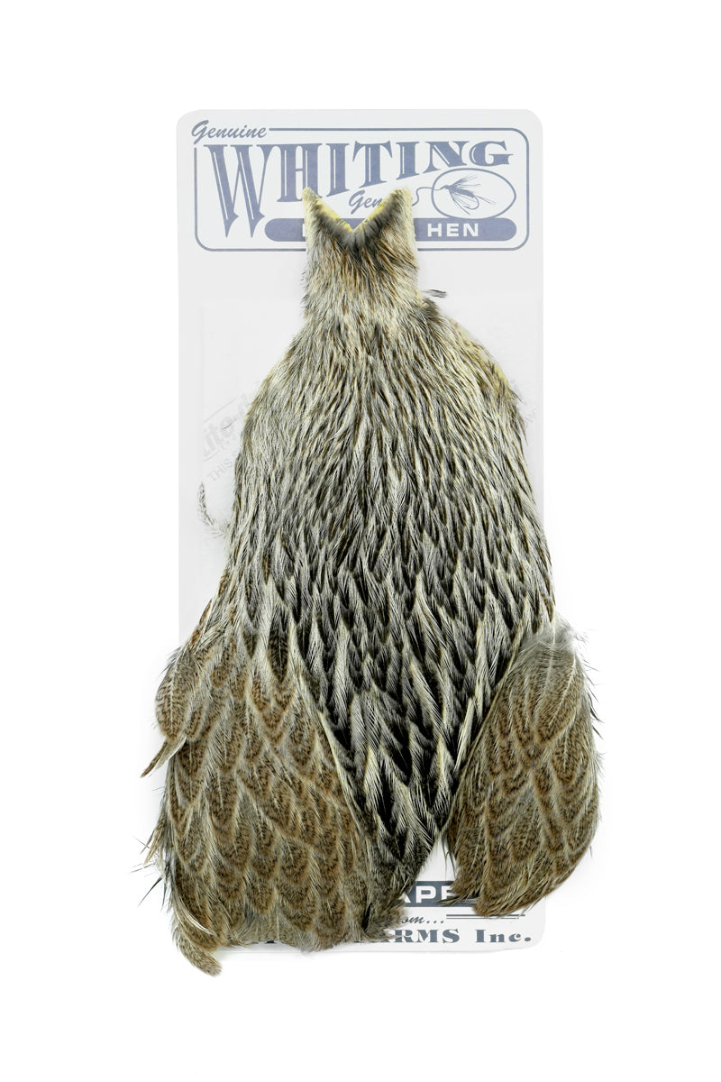 Brahma Hen Cape
