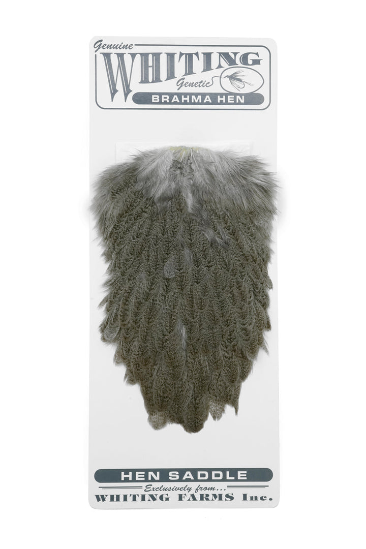 Brahma Hen Saddle
