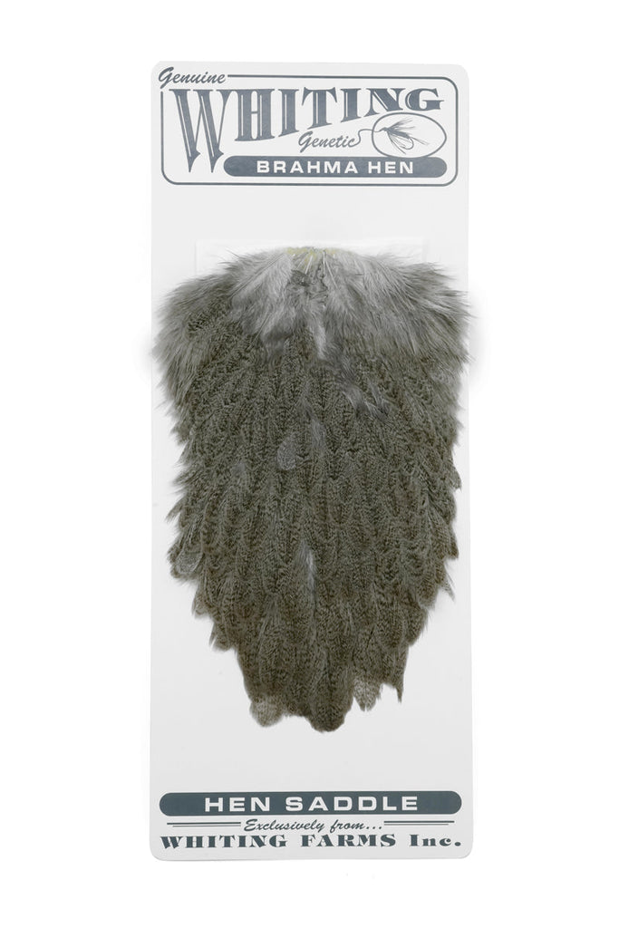 ルアー・フライ nx06 WHITING Brahma Hen Saddle BrahmaHenSaddle-MottledGrey-