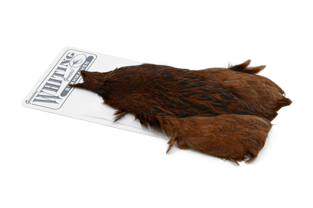 Brahma Hen Cape