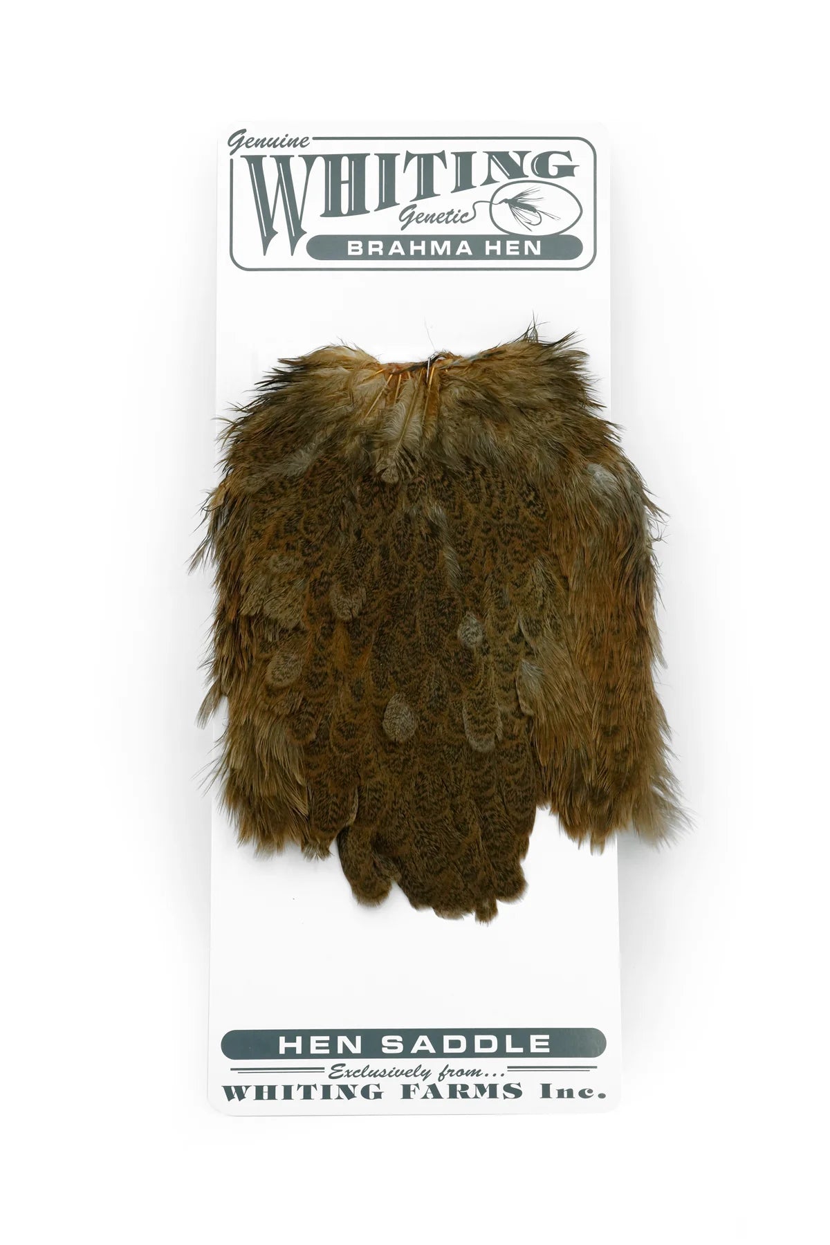 Whiting Brahma Hen Saddle - Hackle - Fly Fish Food
