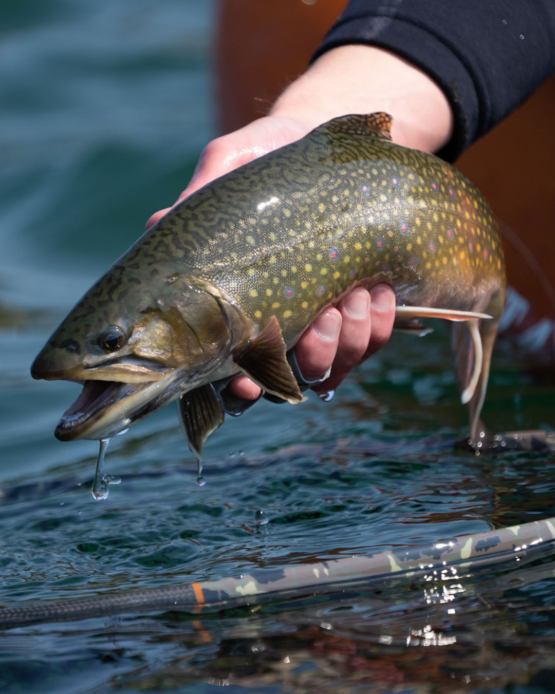 Fly Fishing Clearance Sale & Closeout Items