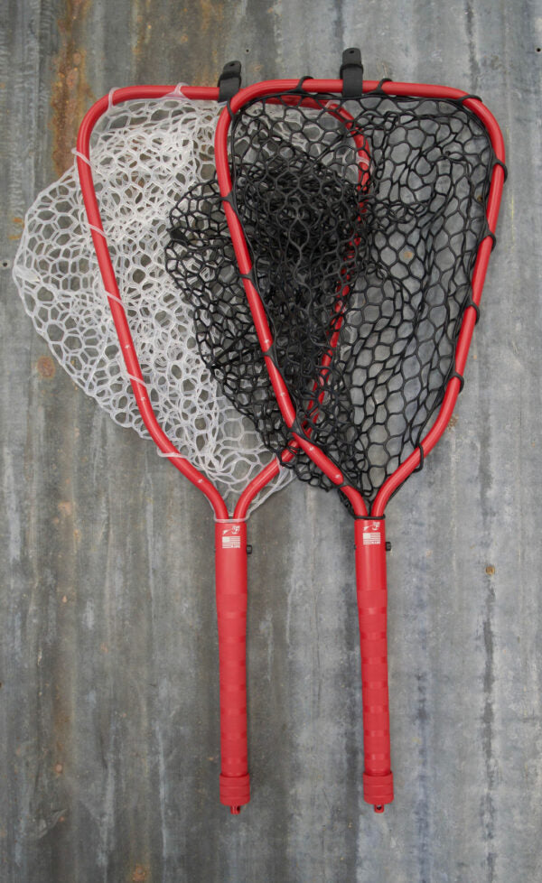 Rising Brookie Net 10