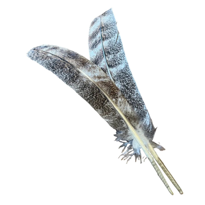 Mottled Ozark Secondary Pair - Feathers & Marabou - Fly Fish Food