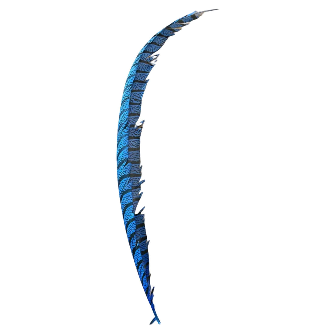Lady Amherst Center Tail Feather - Feathers & Marabou - Fly Fish Food