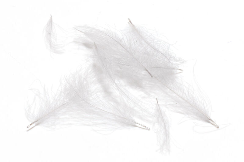 Hareline - Premium CDC (Cul De Canard)