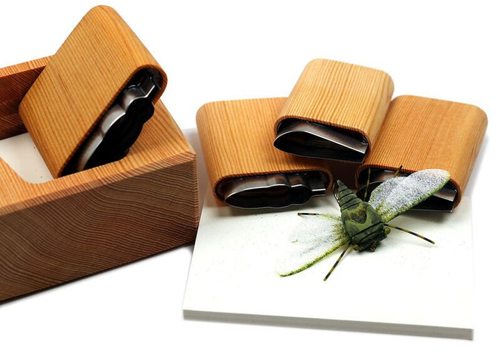 Annual Cicada Cutter Set - Foam & Bodies - Fly Fish Food