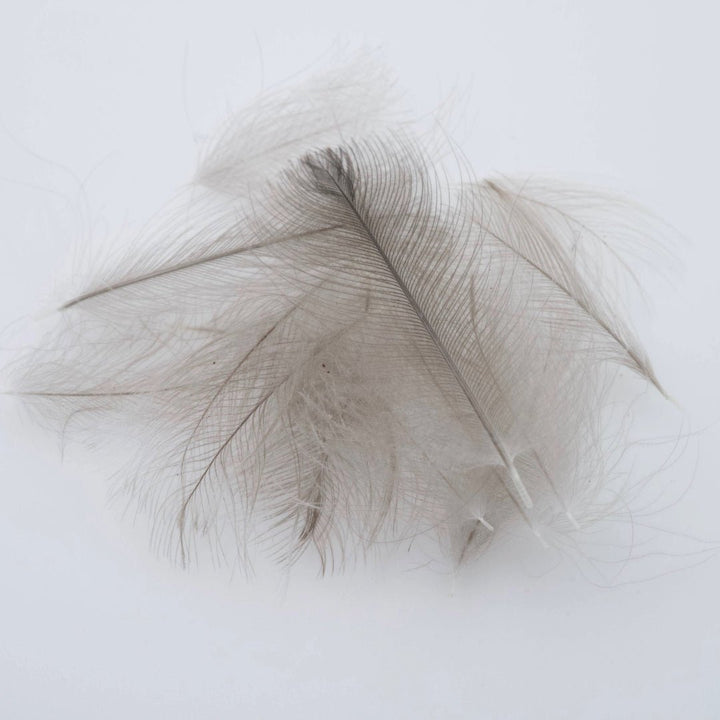 Canada Goose CDC - Natural Blue Dun CDC - Feathers & Marabou - Fly Fish Food