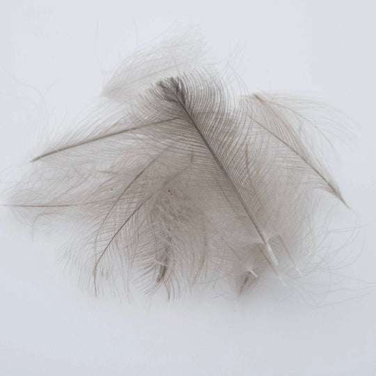 Canada Goose CDC - Natural Blue Dun CDC - Feathers & Marabou - Fly Fish Food