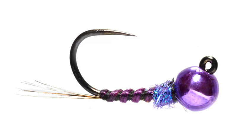 Jorgensen's Zola Bug Purple