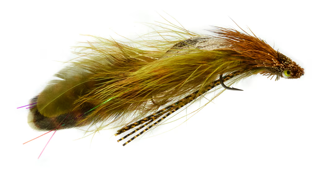 Verlac's Wedge-Head - Olive & Brown
