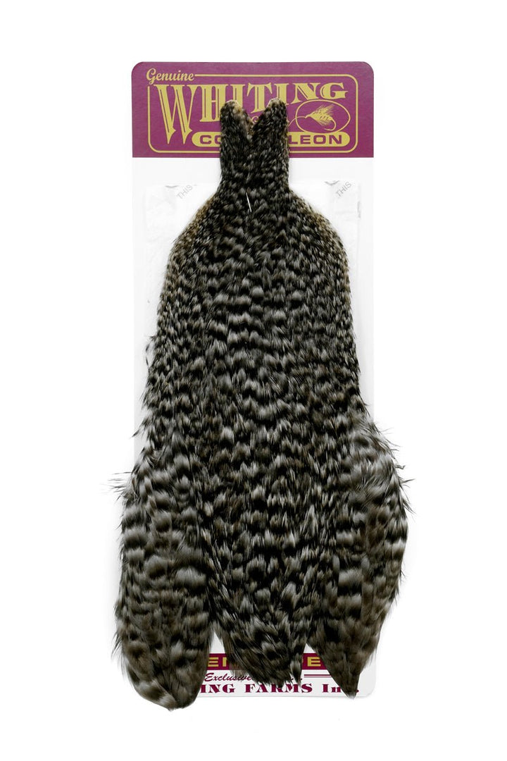 Coq de Leon Hen Cape - Hackle - Fly Fish Food